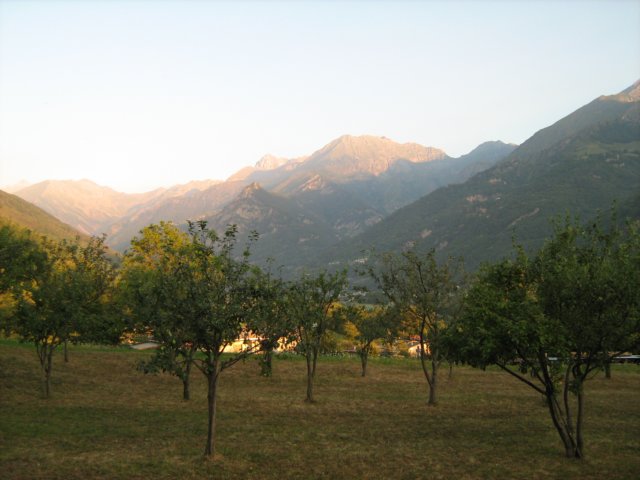 bobbiopellice2.jpg