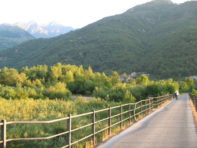 bobbiopellice4.jpg